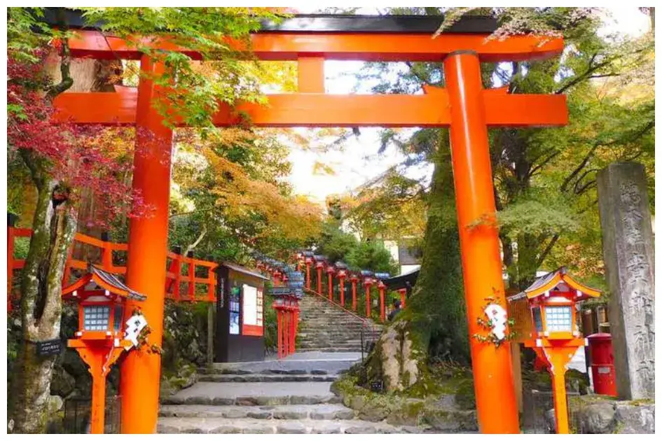 貴船神社の水占みくじと本殿